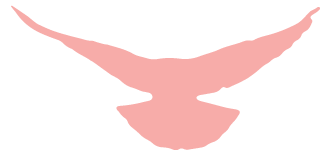 1696935085311931